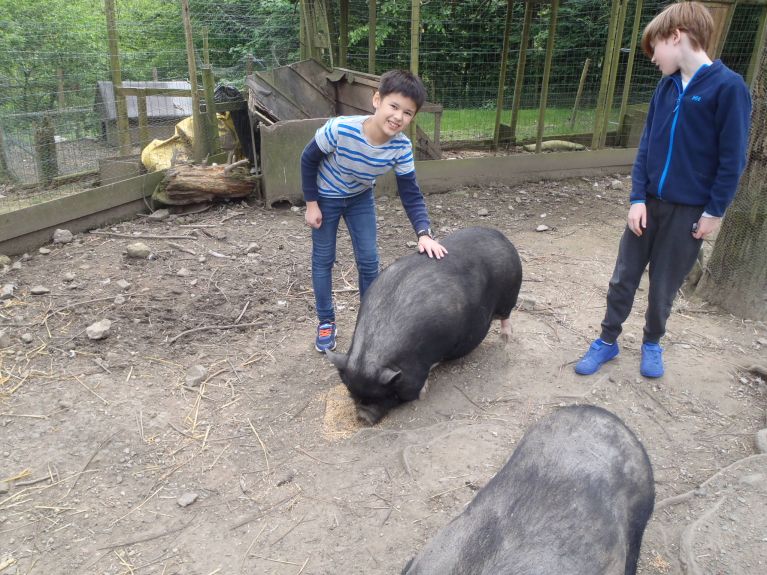 Year 6 French Trip 2019