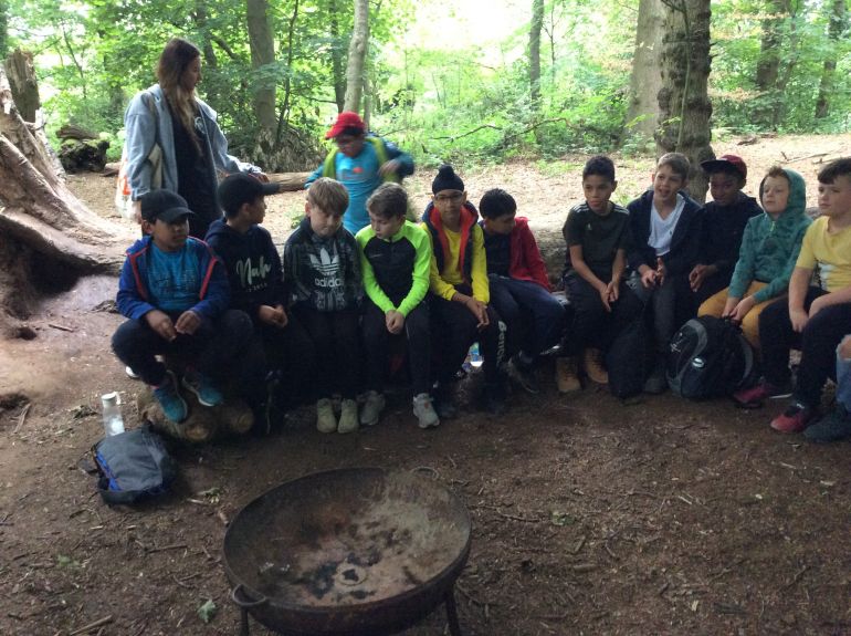 4C Survive a Day In the Woods