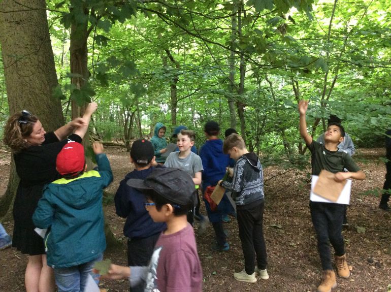 4C Survive a Day In the Woods