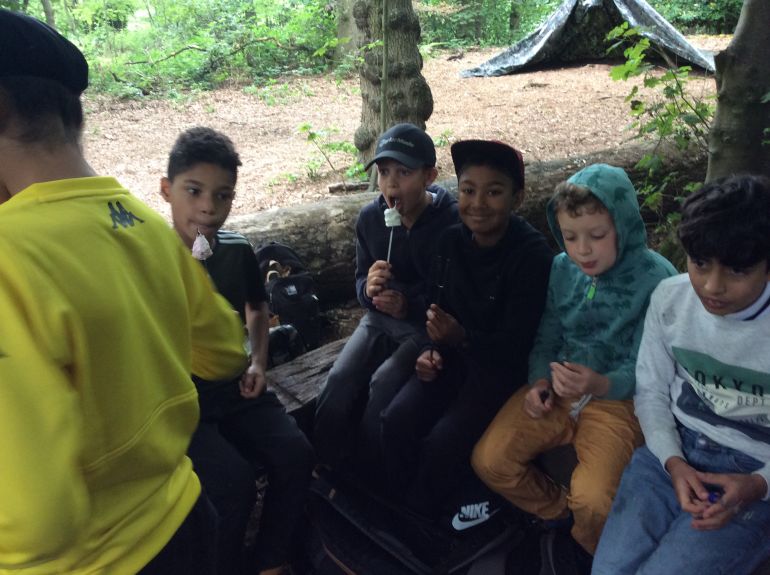 4C Survive a Day In the Woods