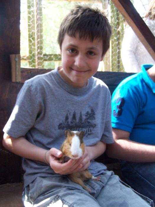 Year 6 Trip to France 2013