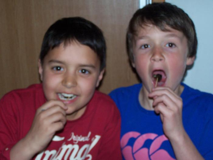 Year 6 Trip to France 2013